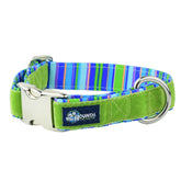 Green Stripes Velvet Essential Dog Collar (1″ Only)